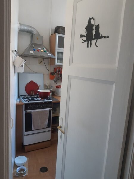 Popa Petre, Mosilor in vila